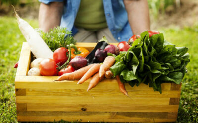 Alimentos orgánicos