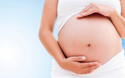 Cómo la obesidad materna afecta el desarrollo del embrión