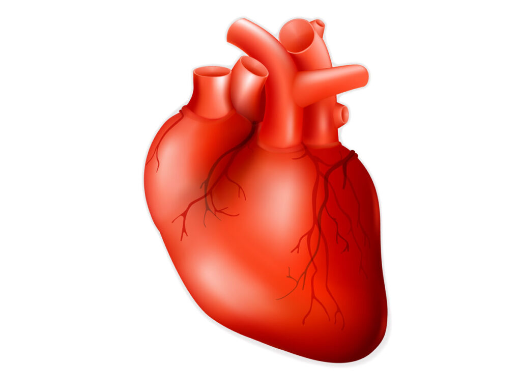 La cirugía bariátrica mejora la salud del corazón