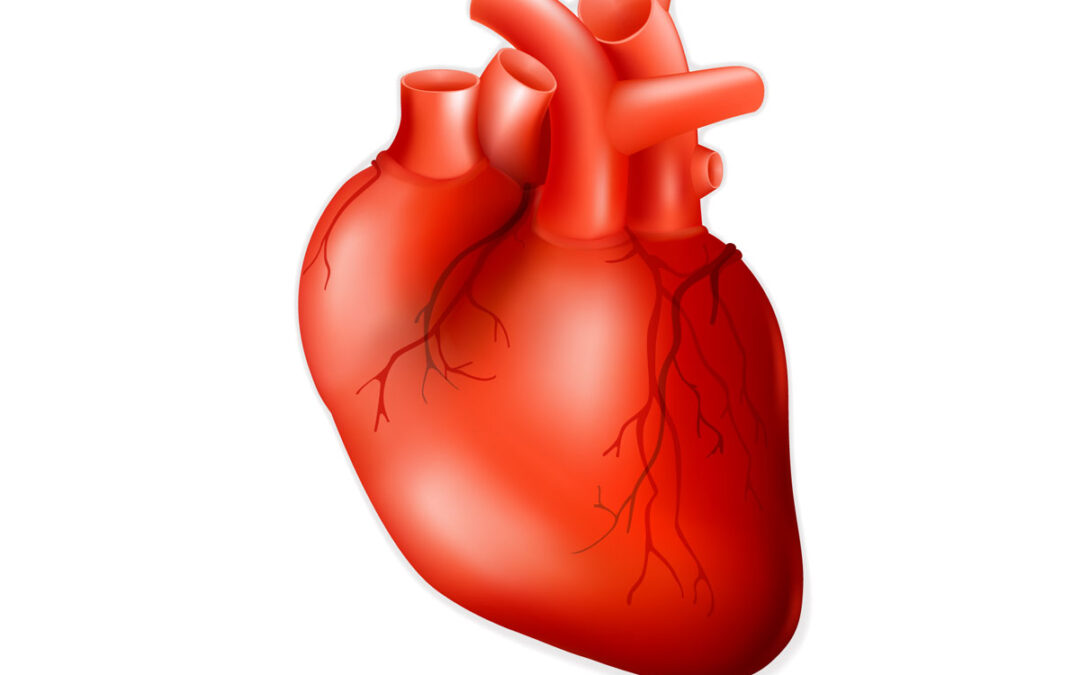 La cirugía bariátrica mejora la salud del corazón