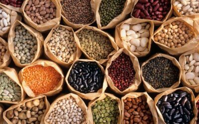 Legumbres+Cereales: Proteína de alto valor biológico