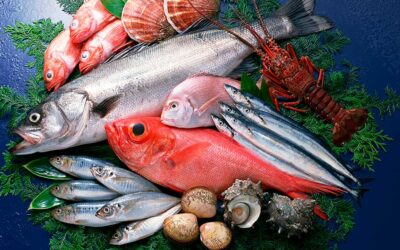 Comer pescado podría disminuir el riesgo de diabetes, según un estudio español